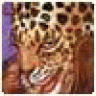 Williamgop